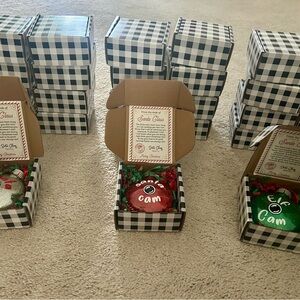 Lot of Santa & Elf Cam Ornaments - Red, Green, and Silver